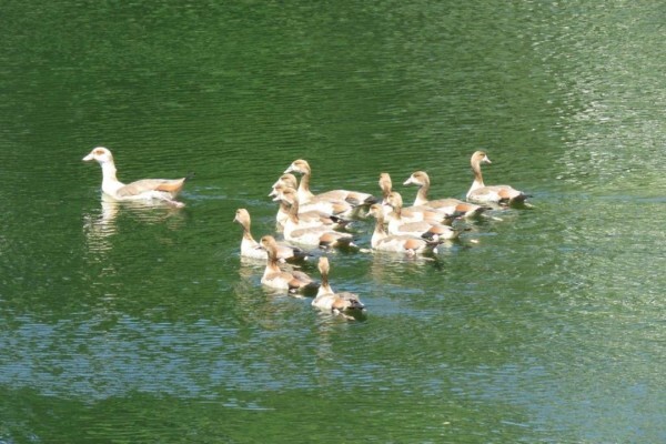 Quarry Lake Inn