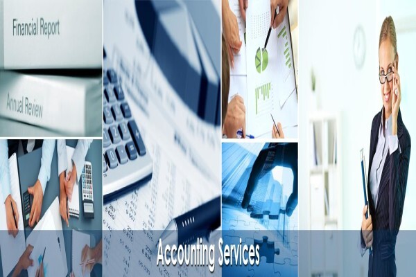 Mcmurray Auditor