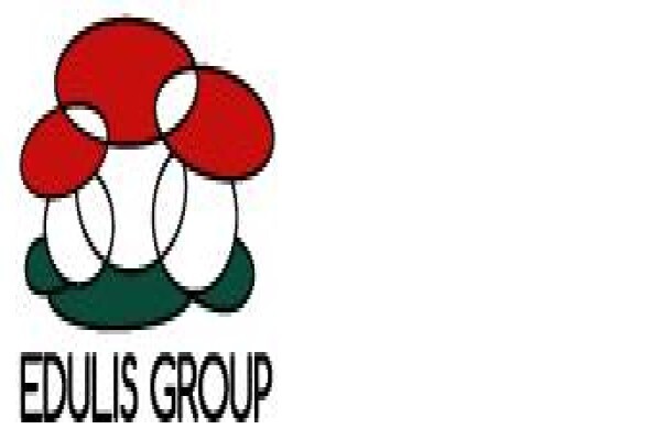 Mediolanum Group