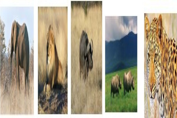 Meiki Tours & Safaris