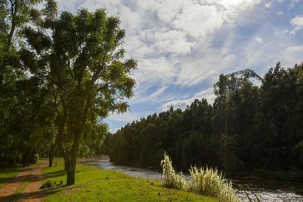 Berg River Resort