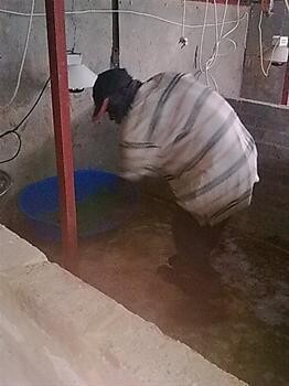 Mont Lorraine Breeders