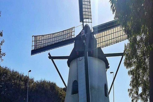 Mostert'S Mill