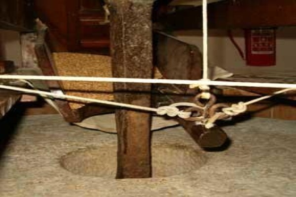 Mostert'S Mill