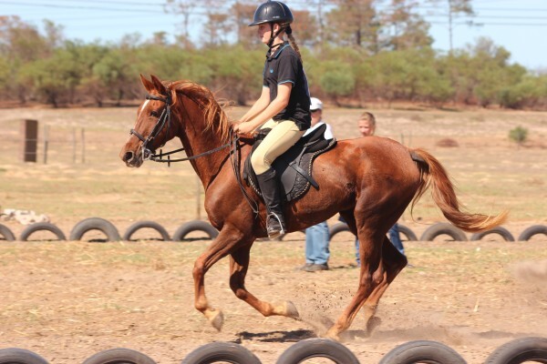 Mountain View Stables Joostenbergvlakte Phisantekraal