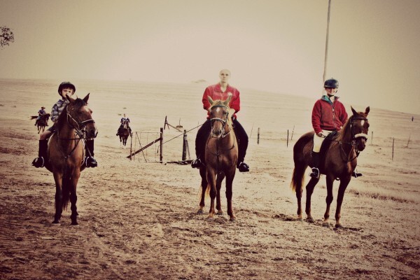 Mountain View Stables Joostenbergvlakte Phisantekraal
