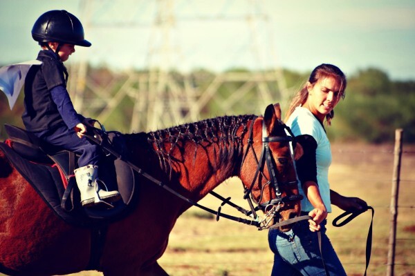 Mountain View Stables Joostenbergvlakte Phisantekraal