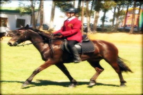 Mountain View Stables Joostenbergvlakte Phisantekraal