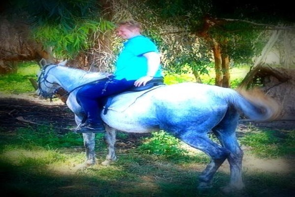 Mountain View Stables Joostenbergvlakte Phisantekraal