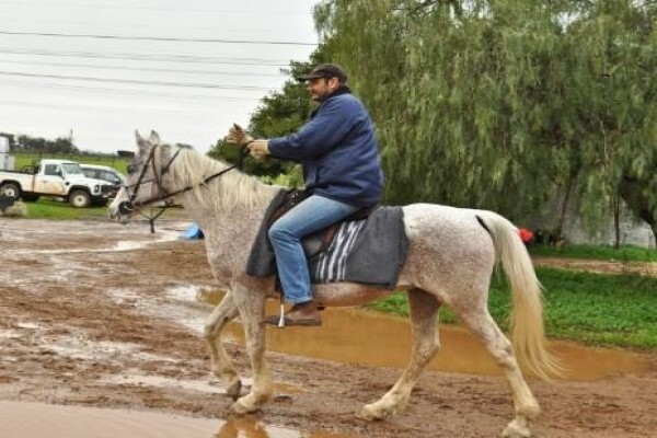 Mountain View Stables Joostenbergvlakte Phisantekraal