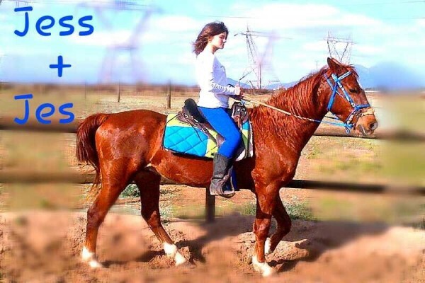 Mountain View Stables Joostenbergvlakte Phisantekraal