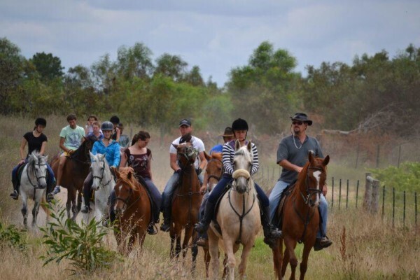 Mountain View Stables Joostenbergvlakte Phisantekraal
