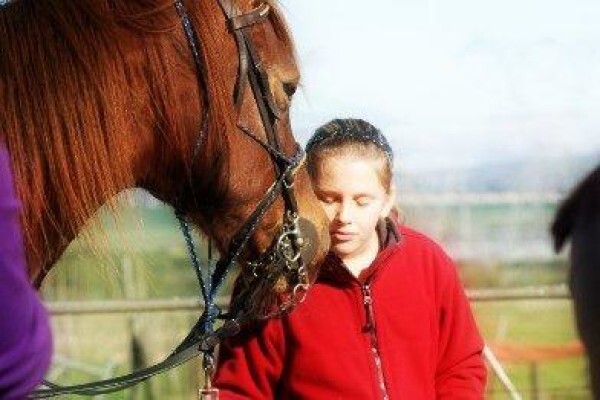 Mountain View Stables Joostenbergvlakte Phisantekraal