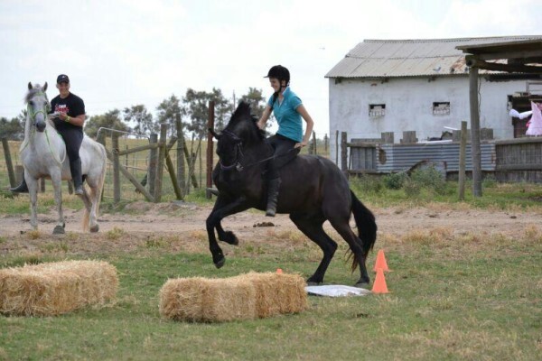 Mountain View Stables Joostenbergvlakte Phisantekraal
