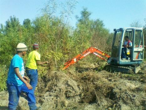 Mini Diggers Sa Rentals/Sales