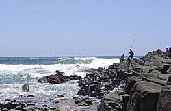 Ballito Estates (Pty) Ltd