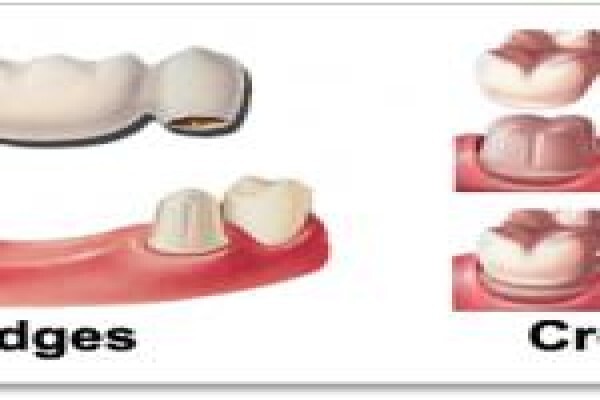 Mns Dentists