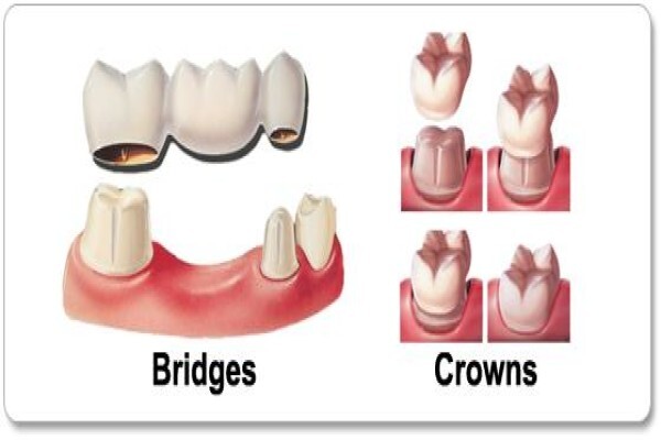 Mns Dentists