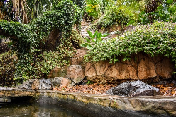 Waterfalls Boutique Hotel