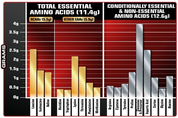 Muscletech