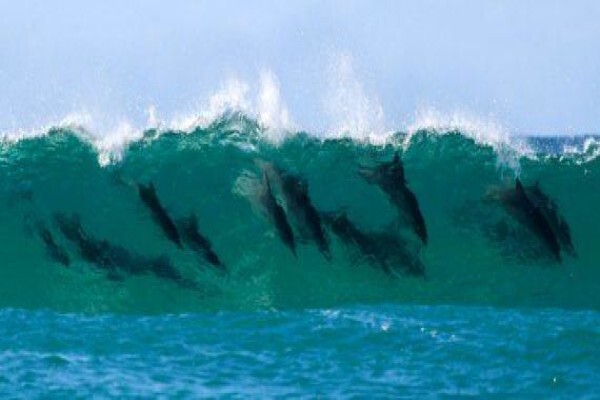 Myballito