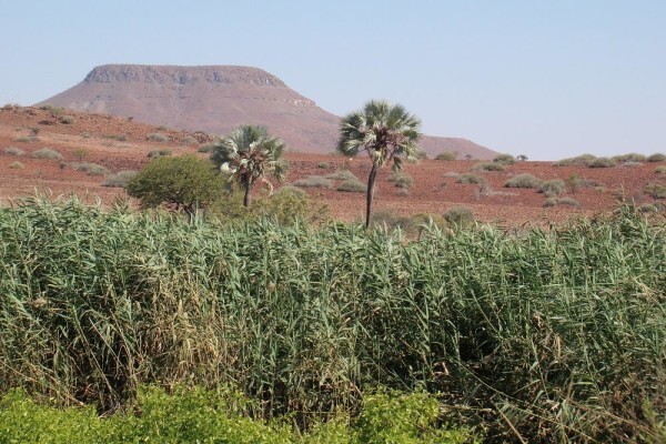 Open Africa