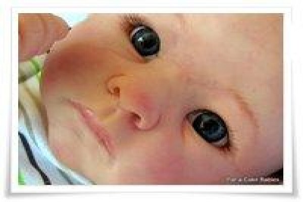 Pat-A-Cake Babies Reborn Dolls