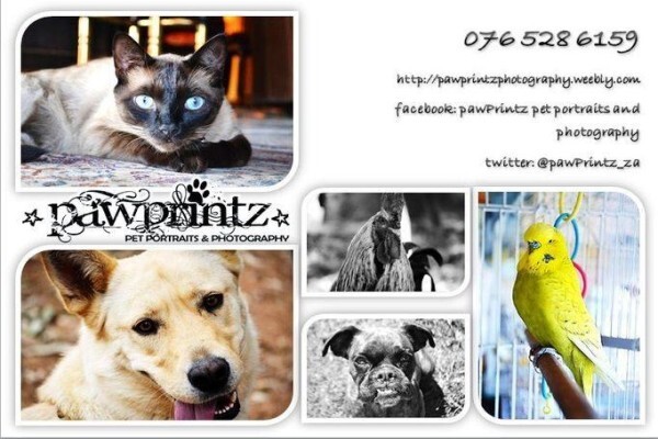 Pawprintz Pet Portraits And Photography