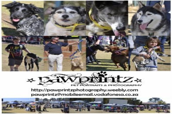 Pawprintz Pet Portraits And Photography