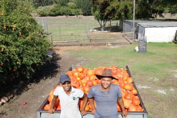 Petervale Farm