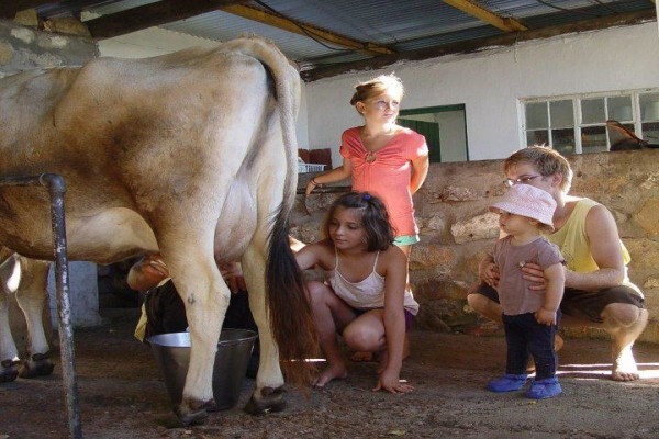 Petervale Farm