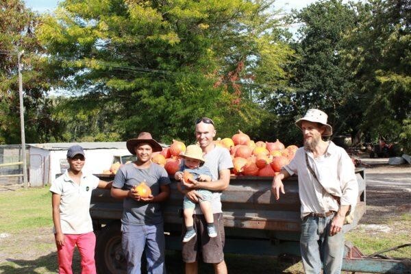 Petervale Farm