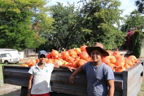 Petervale Farm