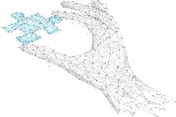 Orbis Software