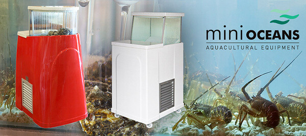 Oyster Tanks