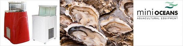 Oyster Tanks