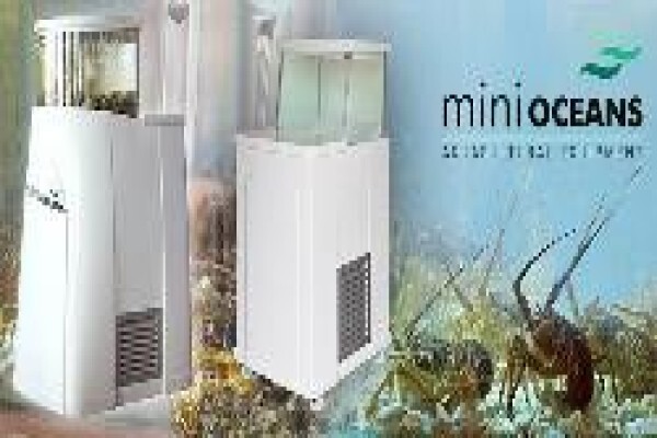 Oyster Tanks