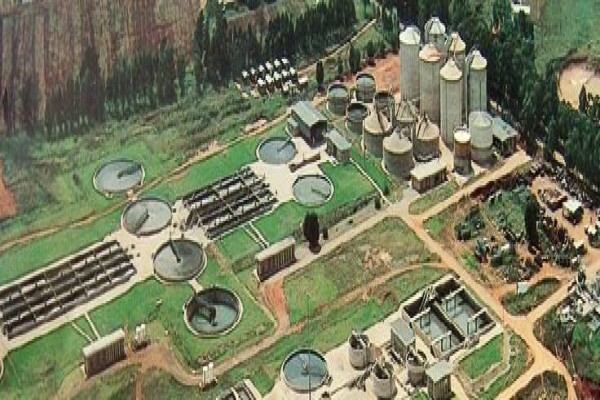 Palace Group
