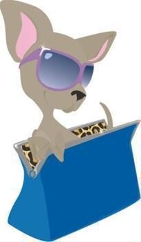 Pampered Pooch (Dog & Cat Grooming Parlour)