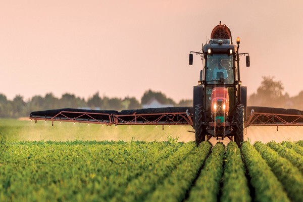 Pannar Seed International