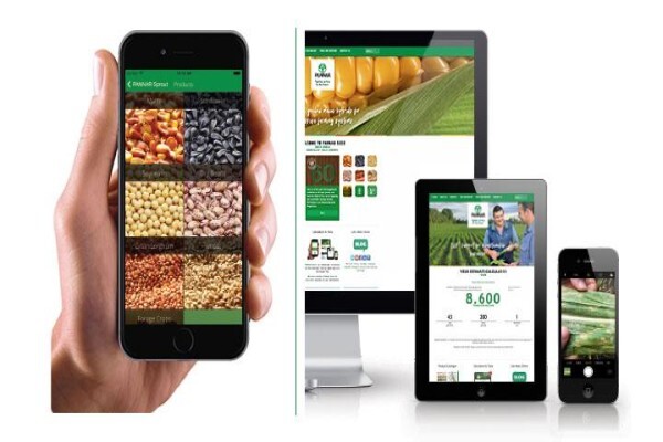 Pannar Seed International