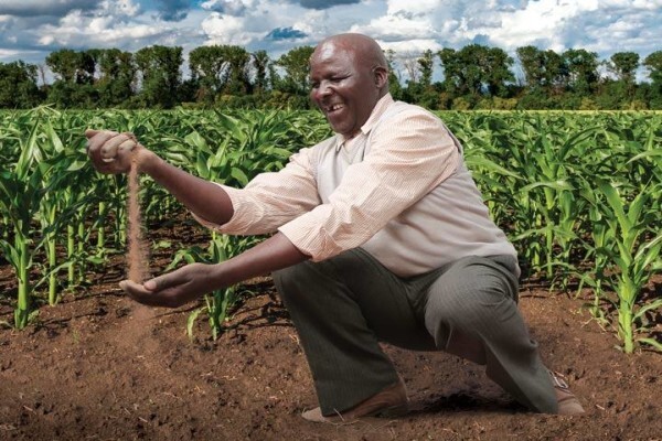 Pannar Seed International