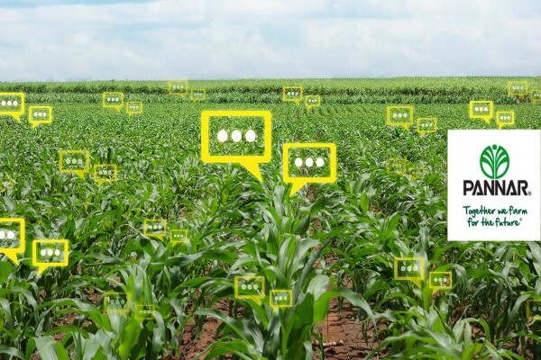 Pannar Seed International