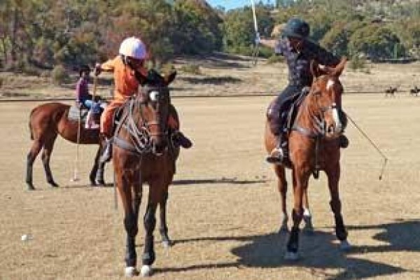 Poloafrica