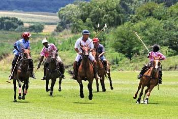 Poloafrica