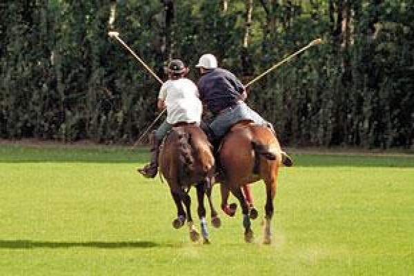 Poloafrica