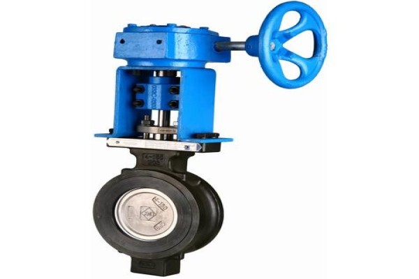 Piping Valve Flange Pipe Fitting Landee