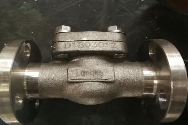 Piping Valve Flange Pipe Fitting Landee