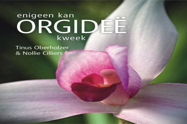 Plantae Orchids