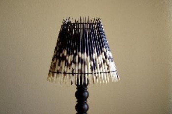 Quills From Africa